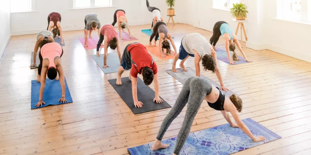 The Ultimate Beginner’s Guide to Yoga The Ultimate Beginner’s Guide to Yoga